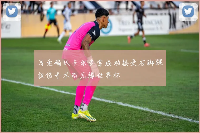 马竞确认卡尔多索成功接受右脚踝扭伤手术恐无缘世界杯