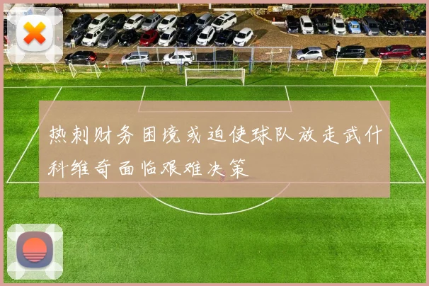 热刺财务困境或迫使球队放走武什科维奇面临艰难决策