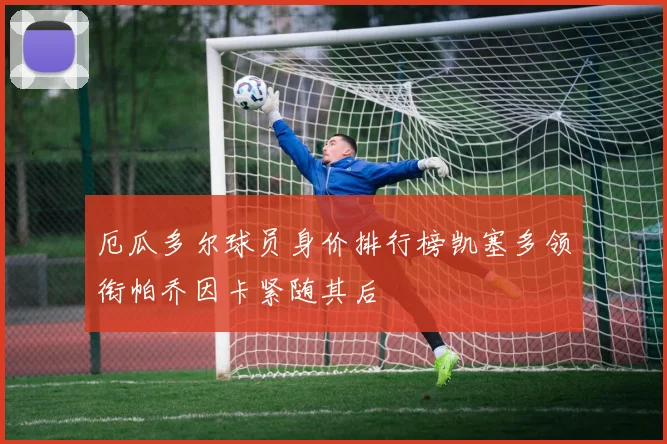 厄瓜多尔球员身价排行榜凯塞多领衔帕乔因卡紧随其后