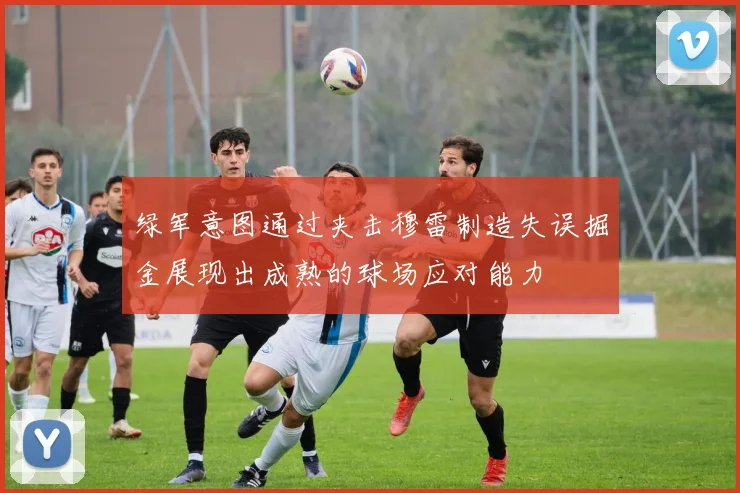 绿军意图通过夹击穆雷制造失误掘金展现出成熟的球场应对能力